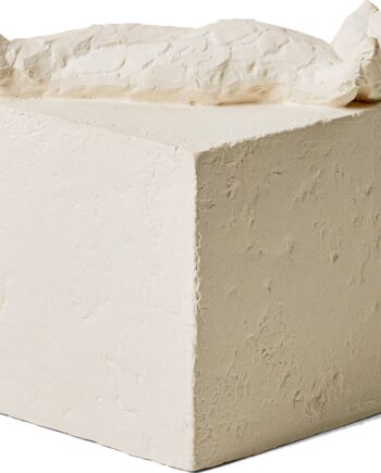 Astro Fisk Stjernetegnsfigur  Hvid