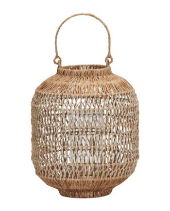 Dive Lanterne Lille  Natur