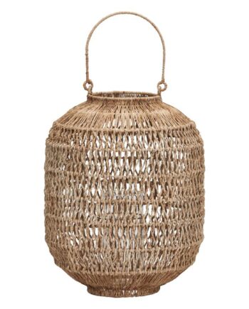 Dive Lanterne Stor  Natur