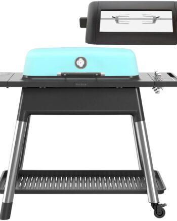 Furnace Gasgrill   Rottiseri  Mat Mint