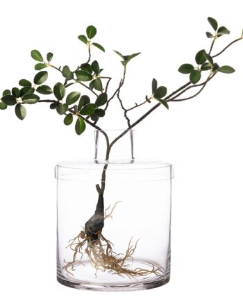 Glasvase Med Låg  21 Cm