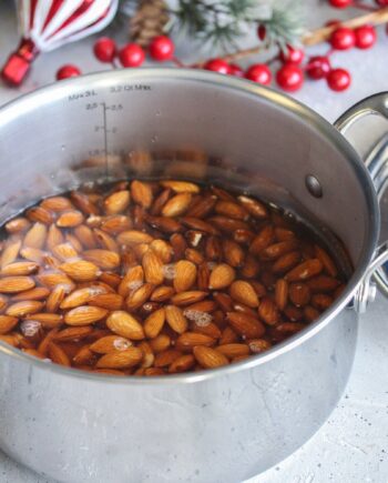 Premium Ss 20 Cm  Gryde